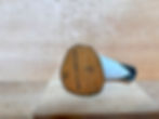 Thumbnail: Rare Ruddy Turnstone