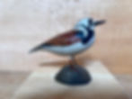 Thumbnail: Rare Ruddy Turnstone