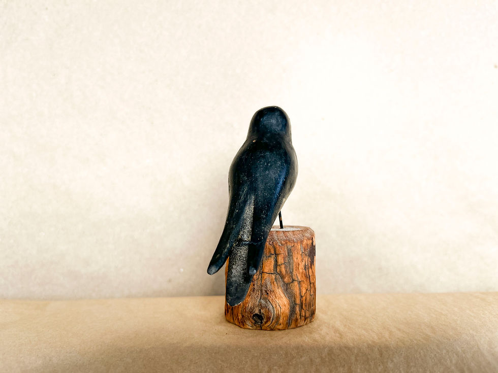 Thumbnail: Barn Swallow by Ralph Laurie