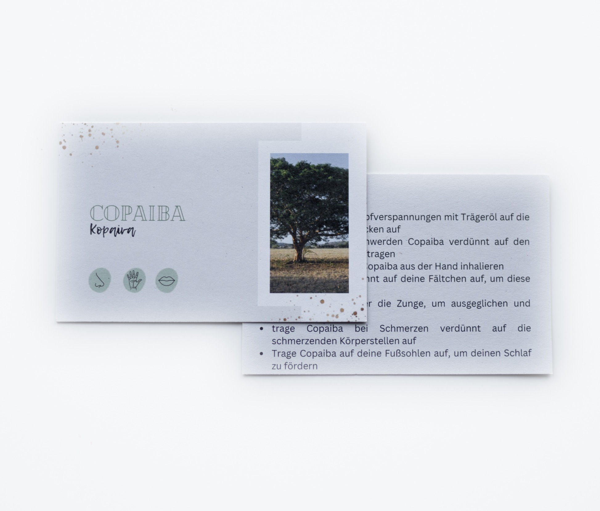 Probekärtchen für "Kopaiva"