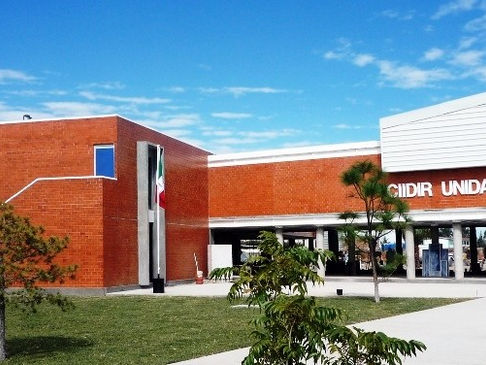 Vacantes en el CIDIIR-IPN