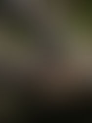 URBO Pune: Where Ambiance and Flavor Converge for a Memorable Experience with Friends