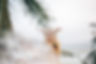 0U1A5758.jpg