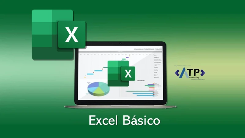 Excel básico