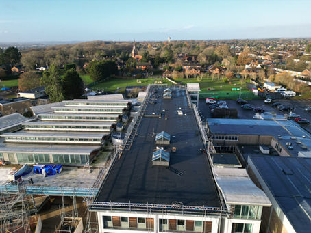 The Avenue special School