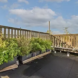 residential flat roof.webp