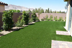 Backyard Plan
