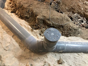 IMG_0505 (Medium).jpg