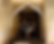 E86E8DBE-91B4-4300-8E71-508FF11F9B6B.JPG