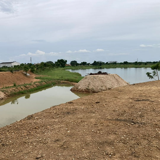 Lake Rejuvenation in Sriperumbudur for Yamaha India Motors
