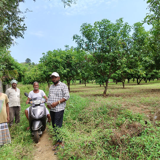 Agroforestry Carbon Credit Project, Pan-India