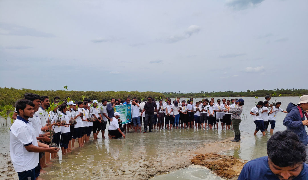One Crore One State mangrove and agroforestry initiative