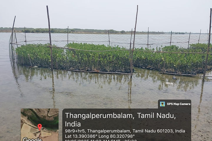 Thangal Perumbulam site including Buckingham Canals