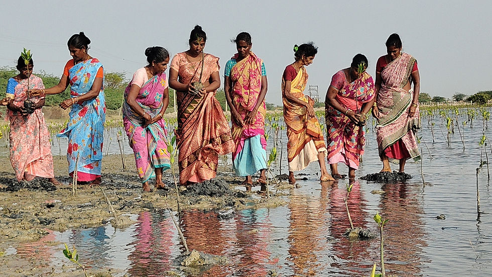 IMG20250708075041_01