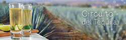 Circuito del Tequila