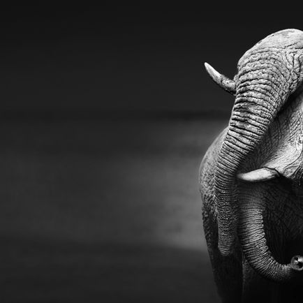 The Noahic Covenant: Is it Part of the Covenant of Grace? (Lesson 4.2)