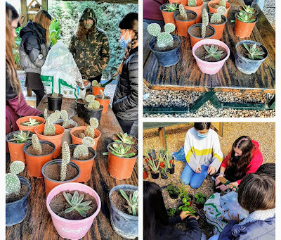 #Enmienda 6: Producción y consumo responsable. Preparación de la campaña navideña