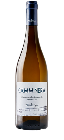 Audarya-Viticoltori-in-Sardegna-Camminera-Vermentino-di-Sardegna-DOC