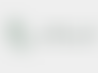 Week 48 2025 Floral Ad Recap