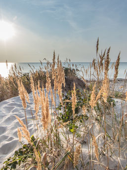 Dompel jezelf onder in prachtige diamond paintings van adembenemende landschappen.
