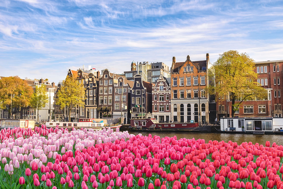 Amsterdam Grachtgezicht met Tulpen Painting | Flitzz Diamond Painting