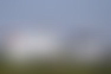 3M production process shut down after illegal PFAS emissions