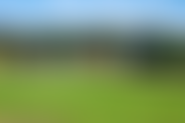 Statistics brochure gives a snapshot of life in Flanders