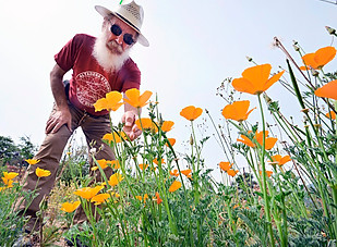 rene amy poppies.jpg