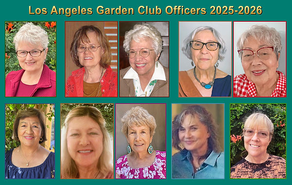 lagc_board_2025-2026 yearbook.jpg