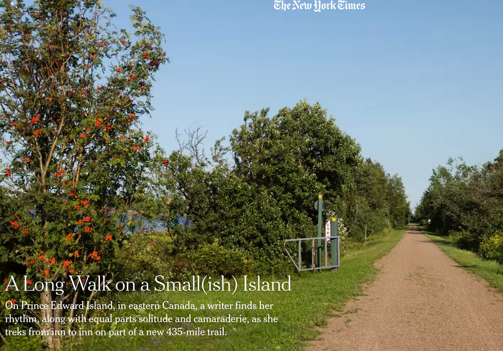 Screenshot 2025-02-25 at 6.58.01 AM.png