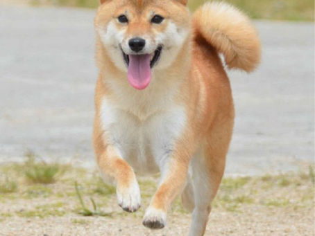 お久しぶりでーーーす!!