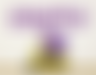 Zepto Franchise Cost