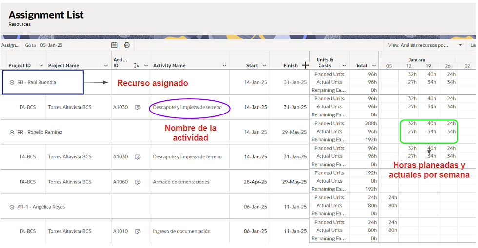 Este menú está disponible en la aplicación Schedule de Primavera Cloud