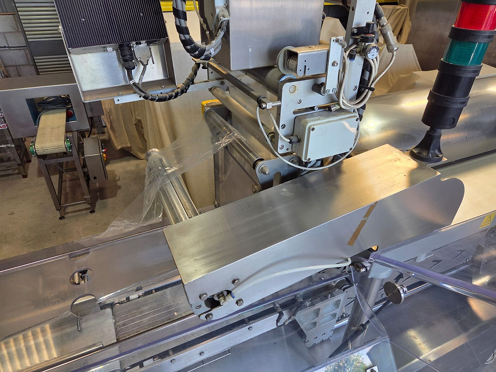 Thumbnail: Mondini SF 90 Inline Sealer