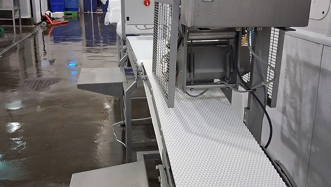 Carnitech CT 2612 Pin-boning and Packing line