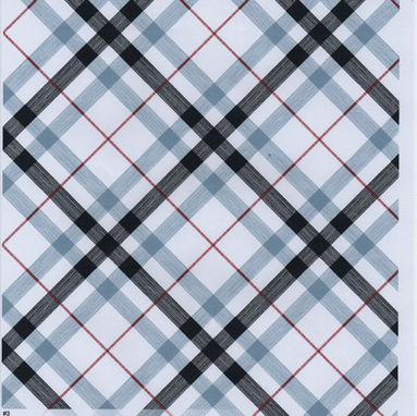 FR1394 SCOZZESE DONNA.jpg