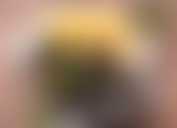 Moules et Frites (France)