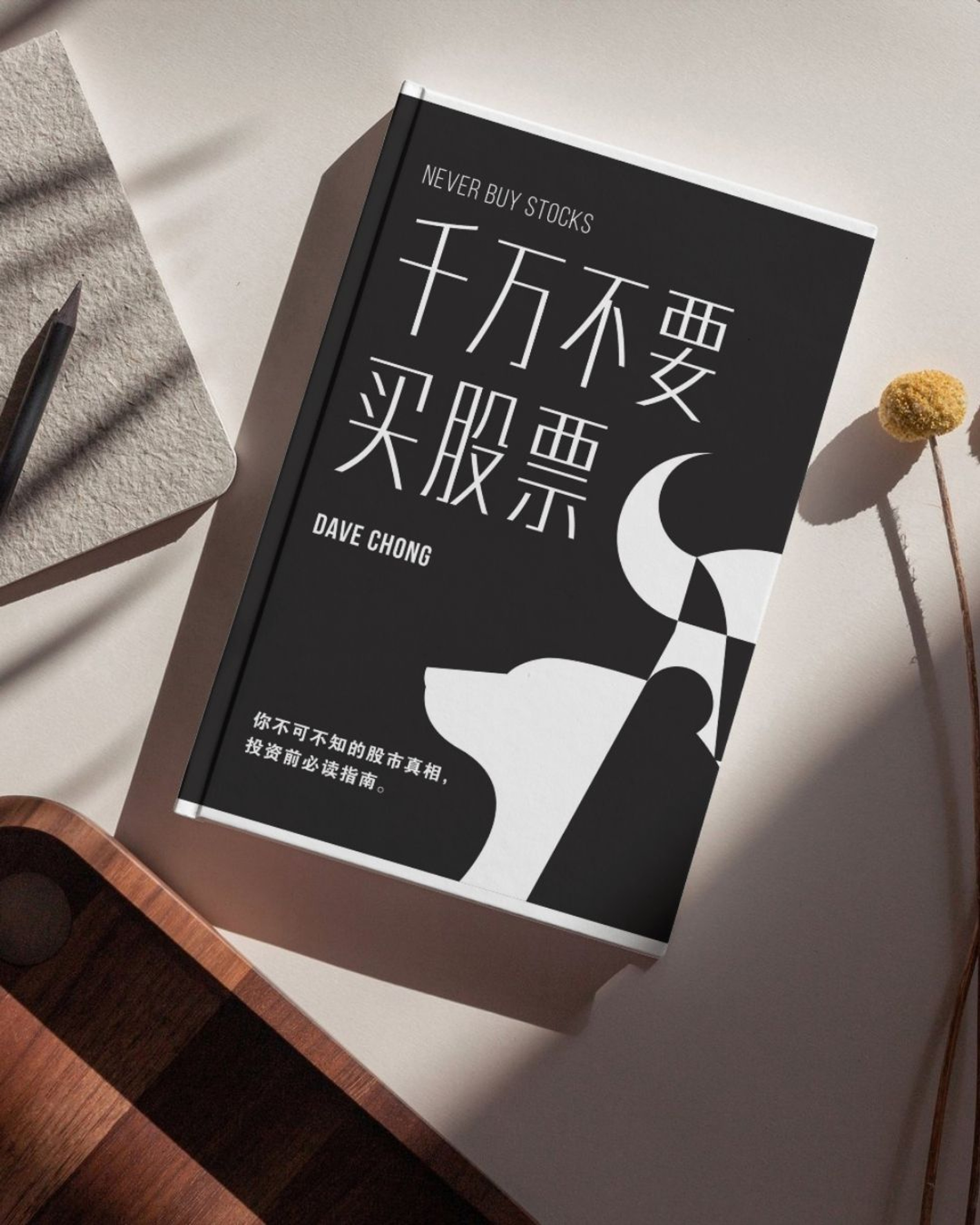 千万不要买股票Never Buy Stocks | DKIC