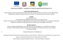SRD 5.3 - Impianti Agroforestali