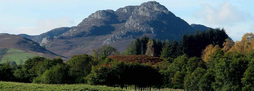 scotlands backdrop.jpg