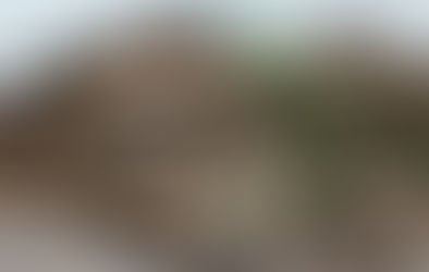 Art Department Field Trip