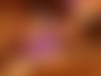 Rustic Elegance & Romance