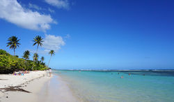 Residence-Le-Vallon-Guadeloupe-De-Stranden