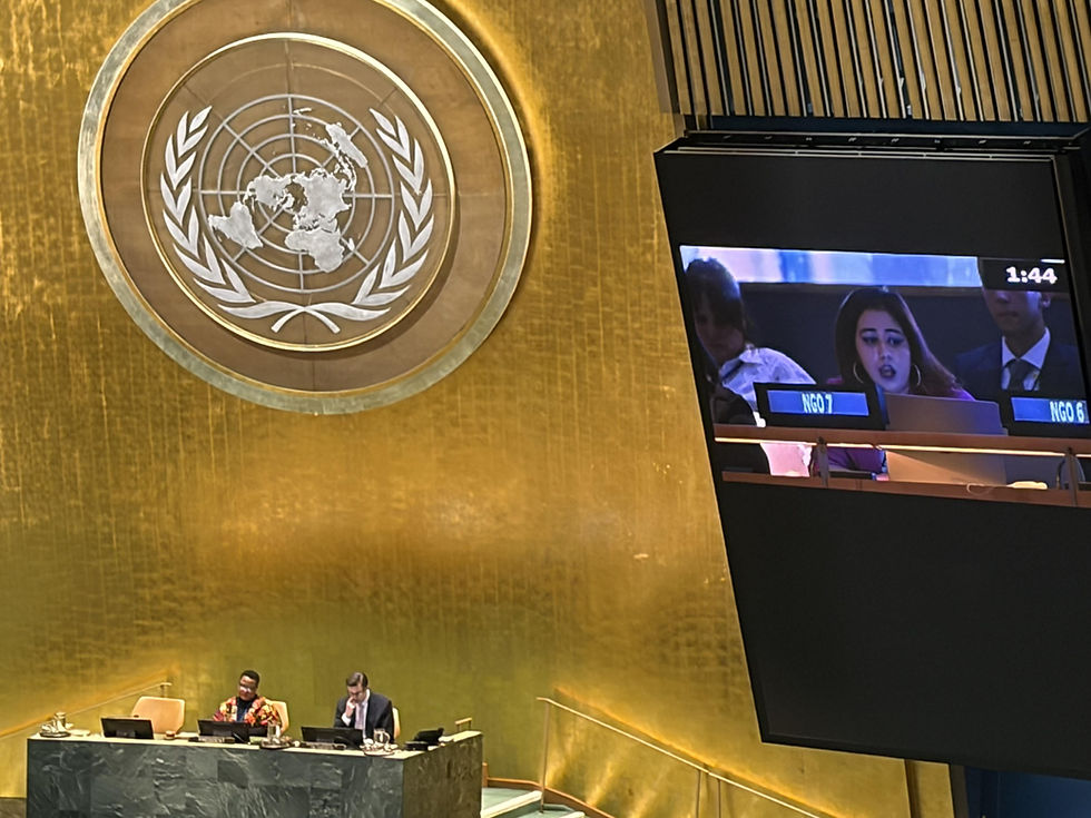 Kehkashan Basu, 2020 Youth Awardee, Founder-President of Green Hope Foundation presenting at the UN, April 2026