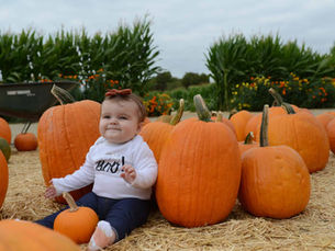Toddler Halloween Events in LA: 16 Gentle Daytime Picks!