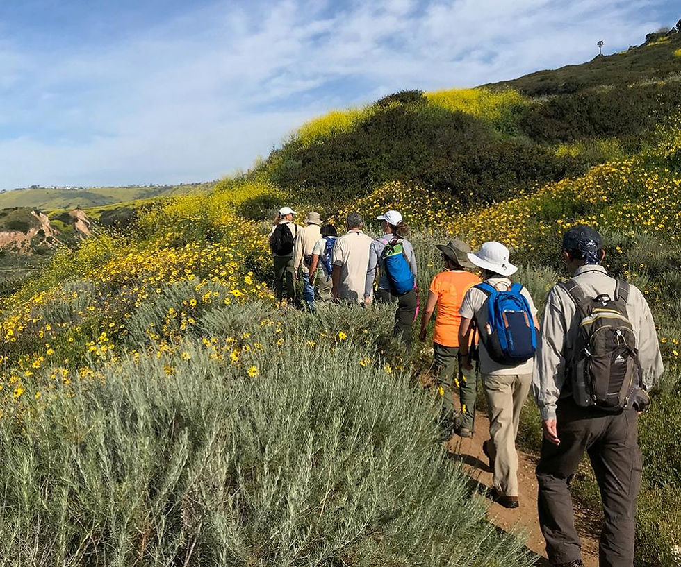 Nature Walk - White Point Nature Preserve