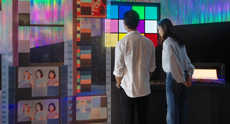 Color in Motion Tours