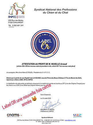 Label Or.JPG