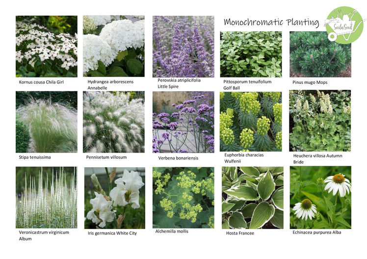 Monochromatic Planting