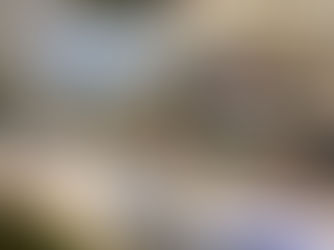 Interscolaires 2016 - Finale à Bruges - Belle prestation des jeunes de l'école ST MEDARD d'A